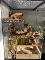 Gerbil Terrarium 60x40x60 cm – Perfect voor Hamsterscaping, Dieren en Toebehoren, Knaagdieren en Konijnen | Hokken en Kooien, 60 tot 90 cm