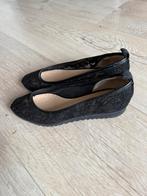 Kanten ballerina’s Baldinini, Zwart, Zo goed als nieuw, Baldinini, Ballerina's