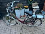 Gezelle dames fiets, Fietsen en Brommers, 51 tot 55 cm, Ophalen, Gebruikt, Overige merken