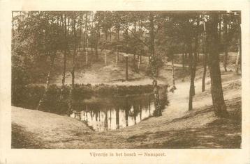 (387-180-017) Nunspeet Vijvertje in het Bosch beschikbaar voor biedingen