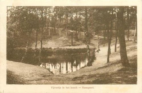 (387-180-017) Nunspeet Vijvertje in het Bosch, Verzamelen, Ansichtkaarten | Nederland, Gelderland, Verzenden