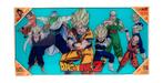 Dragon Ball Z Glass Poster Heroes 30 x 60 cm, Heo GmbH, Nieuw, Ophalen of Verzenden, Info@heogmbh.de