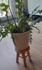 "Nieuw" Teak Houten "Krukje", Ophalen of Verzenden, Nieuw, Hout