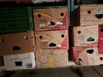 dozen met rommelmarkt spullen, Ophalen, Gebruikt