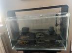 Aquarium superfish met toebehoren, Dieren en Toebehoren, Vissen | Aquaria en Toebehoren, Ophalen, Zo goed als nieuw, Leeg aquarium