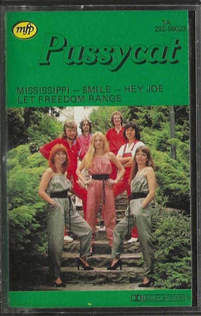 Pussycat 1980 CB387, Cd's en Dvd's, Cassettebandjes, Origineel, Pop, 1 bandje, Ophalen of Verzenden