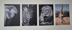 4 Displate Metalen Posters L - Dieren thema, Ophalen, 50 tot 75 cm, Zo goed als nieuw, Foto of Poster