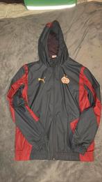 PSV Eindhoven 2023/2024 Anthem Jacket, size Medium, Kleding | Heren, Sportkleding, Puma, Ophalen of Verzenden, Zo goed als nieuw