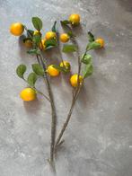 Decoratieve citroentakken, Ophalen of Verzenden, Gebruikt, Binnen