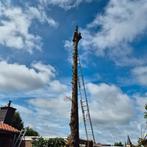 Gratis bomen omzagen, snoeien & boomstronk. Tuinman/hovenier, Diensten en Vakmensen, Tuinmannen en Stratenmakers, Garantie, Tuinontwerp