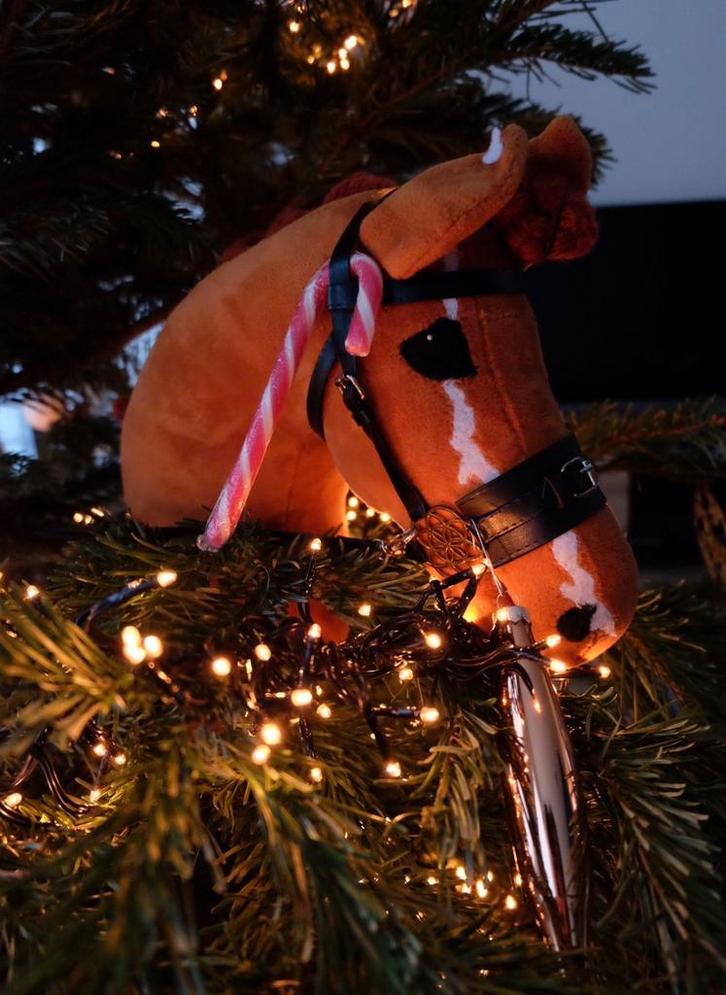 Unieke handgemaakte luxe hobbyhorse, Dieren en Toebehoren, Paarden en Pony's | Verzorgingsproducten, Zo goed als nieuw, Ophalen of Verzenden