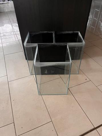 10 aquariums van 30x30x42cm beschikbaar voor biedingen