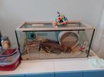 Hamsterkooi / terrarium, Dieren en Toebehoren, Knaagdieren en Konijnen | Hokken en Kooien, Kooi, Minder dan 75 cm, Zo goed als nieuw