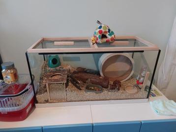 Hamsterkooi / terrarium beschikbaar voor biedingen
