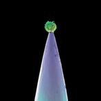 Peter Gabriel - New Blood - CD