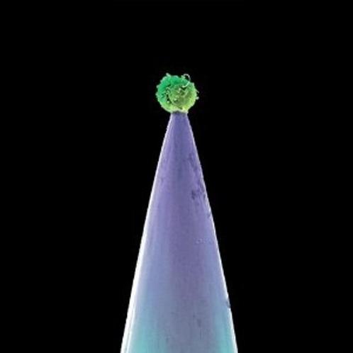 Peter Gabriel - New Blood - CD, Cd's en Dvd's, Cd's | Pop, Nieuw in verpakking, 2000 tot heden, Verzenden