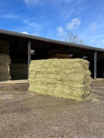 Kruidenhooi Kleine baaltjes Hooi Hooibalen Bundels hooi beschikbaar voor biedingen