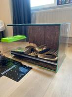 Terrarium 60x40x40 incl. toebehoren, Dieren en Toebehoren, Ophalen, Gebruikt, Terrarium of Paludarium