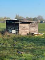 Gratis schuilstal, Dieren en Toebehoren, Stalling en Weidegang