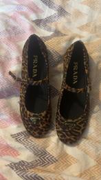 Luipaard tijger honey print maat 39 Prada ballerina’s dames, Bruin, Nieuw, Ballerina's, Ophalen of Verzenden