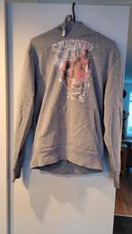 Chicago bulls jordan hoodie celebrity icons maat M, Kleding | Heren, Ophalen