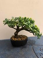 Kunststof Bonsai Boompje - Decoratief, Ophalen, Nieuw, Binnen