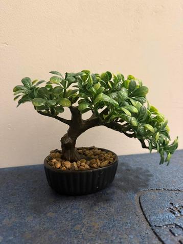Kunststof Bonsai Boompje - Decoratief beschikbaar voor biedingen