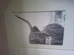 Canvas schotse hooglander, Ophalen of Verzenden, Zo goed als nieuw, Schilderij, 75 cm of meer