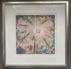 Zeefdruk Jen Liu ingelijst, Antiek en Kunst, Kunst | Litho's en Zeefdrukken, Ophalen