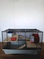 Hamsterkooi met allerlei speeltjes, zoals huisje, hangmat.., Dieren en Toebehoren, Kooi, Minder dan 75 cm, Hamster, Ophalen