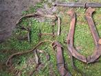 oude antiek paardentuig, Dieren en Toebehoren, Paarden en Pony's | Hoofdstellen en Tuigage, Ophalen, Gebruikt, Overige soorten