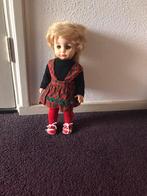 Schildpadpop, Ophalen of Verzenden, Zo goed als nieuw, Pop