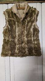 bodywarmer, Ophalen of Verzenden, Gedragen