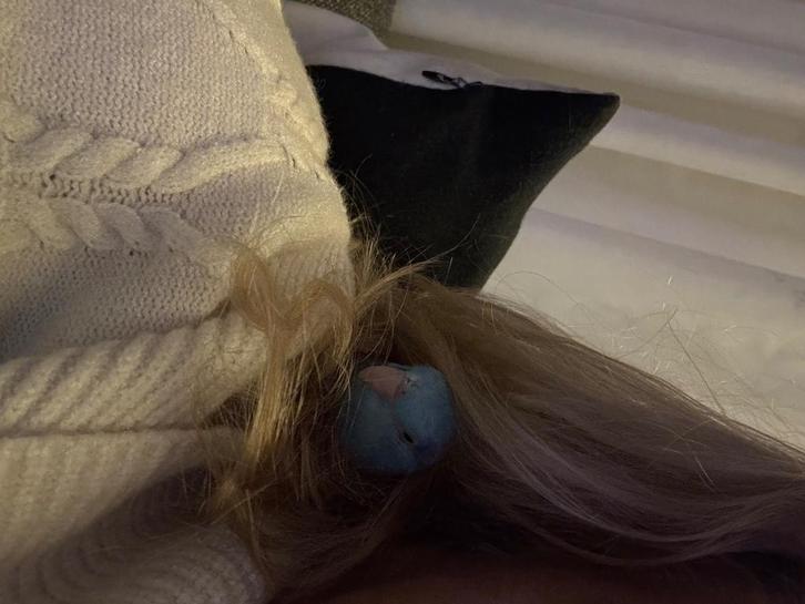 Forpus, Dieren en Toebehoren, Vogels | Parkieten en Papegaaien, Papegaai, Mannelijk, Tam