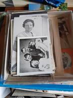 Koningshuis Collectie: Boeken & Kranten, Verzamelen, Koninklijk Huis en Royalty, Ophalen of Verzenden