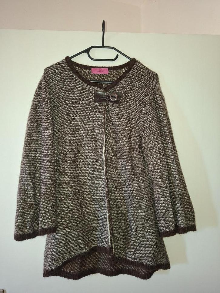 Nieuw studio anneloes vest L, Kleding | Dames, Truien en Vesten, Nieuw, Maat 42/44 (L), Bruin, Ophalen of Verzenden