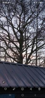 Dakplaten, golfplaten geisoleerd, Doe-het-zelf en Verbouw, Ophalen of Verzenden