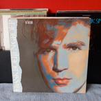 Lp Frank boeijen in natura, Cd's en Dvd's, Ophalen of Verzenden, Gebruikt