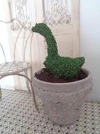 Brocante buxus eend in pot....Poppenhuis 1:12... (Nr F4) *, Ophalen of Verzenden, Nieuw, Poppenhuis