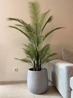 Luxe kunstpalm in stenen, ribbelvaas, Ophalen, Nieuw, Binnen