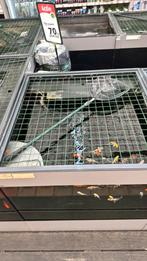 Vijvervisverkoop eiland, Tuin en Terras, Ophalen, Gebruikt