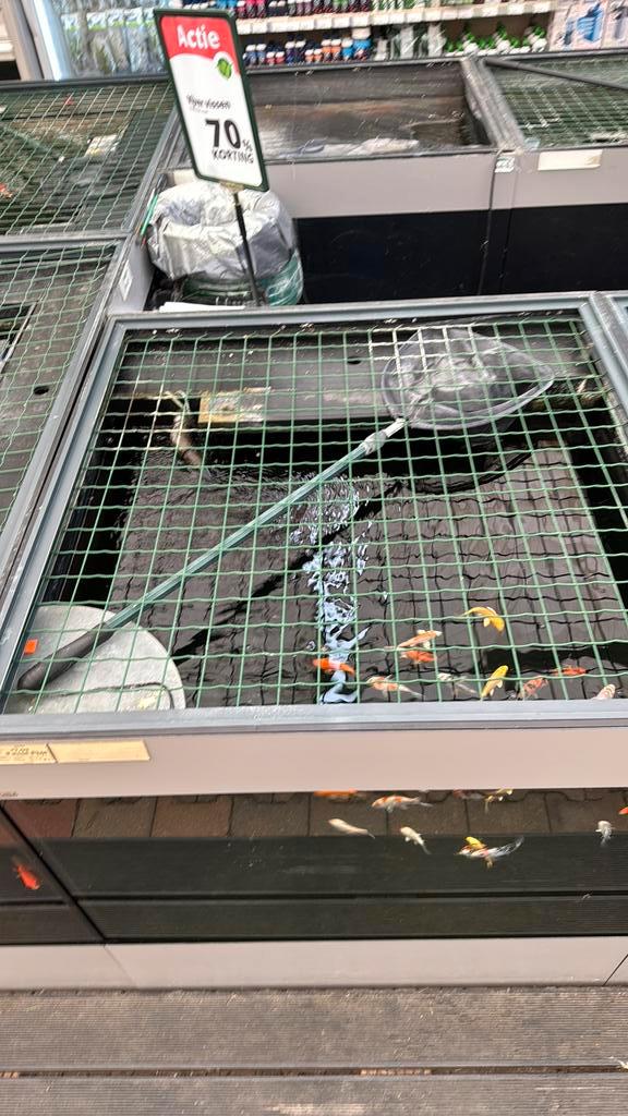 Vijvervisverkoop eiland, Tuin en Terras, Vijvers, Gebruikt, Ophalen