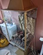 Terrarium met korrenslang en thermo control pro 2, Dieren en Toebehoren, Ophalen, Gebruikt, Terrarium of Paludarium