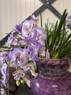 Vaas met kunst bloemen 0rchidee paars & wit, Ophalen, Nieuw
