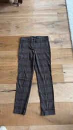 Cambio stretch broek maat 40 nieuw, Maat 38/40 (M), Blauw, Ophalen of Verzenden, Zo goed als nieuw