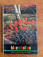 "Bloembollen in de tuin en in huis" G. Kromdijk, Boeken, Wonen en Tuinieren, Ophalen of Verzenden, Zo goed als nieuw, Tuinieren en Tuinplanten