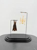 Opgezette Vleermuis en skelet op Standaard - Wildernis Ateli, Ophalen of Verzenden, Nieuw, Opgezet dier