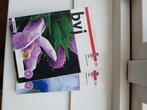 Bvj leeropdrachtenboek 4 A en B, Ophalen of Verzenden, Zo goed als nieuw, Overige niveaus, Nederlands