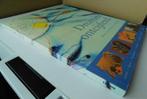 "DROMEN ONTCIJFERD", Boeken, Spiritualiteit algemeen, Ophalen of Verzenden, Zo goed als nieuw, Fiona / Jonny Zucker