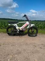 Tomos 65cc, Ophalen, 65 cc, 2 versnellingen, Standard